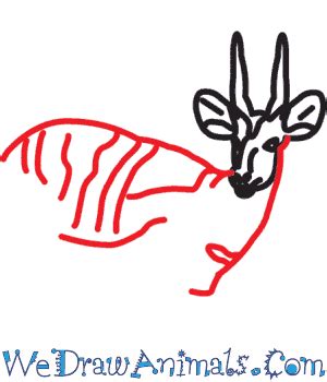 How to Draw a Bushbuck