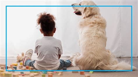 The Best Pets for Kids: Dog Breeds That Are Perfect For Kids and Families