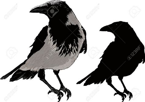 Raven Silhouette Vector at GetDrawings | Free download