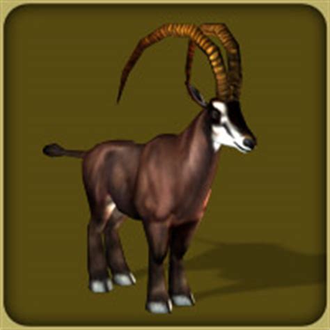 Giant Sable Antelope | Zoo Tycoon Wiki | FANDOM powered by Wikia