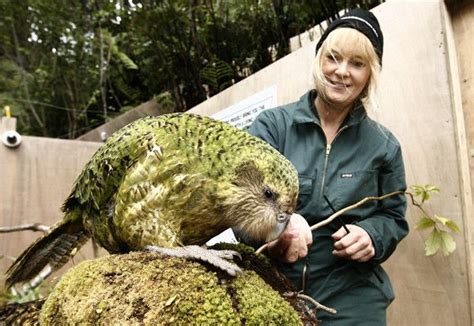 a woman holding onto a bird on top of a tree branch