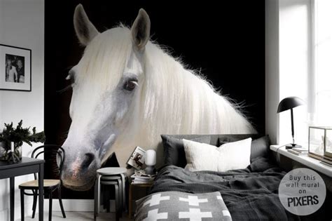 Bedroom with horse • Contemporary - Bedroom Horse Mural, Horse Wall Decals, Horse Decor, Wall ...