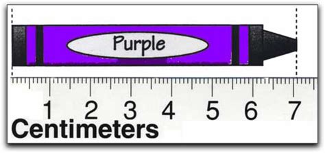 Free Metric Ruler Cliparts, Download Free Metric Ruler Cliparts png ...