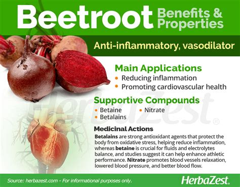 Beetroot | HerbaZest