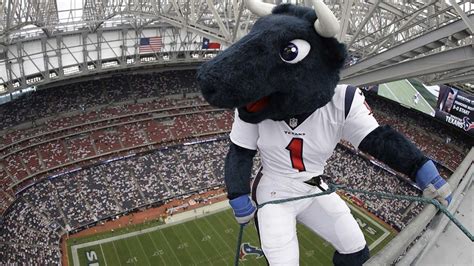 It's Toro's birthday! Help celebrate the Texans' mascot birthday this weekend - ABC13 Houston