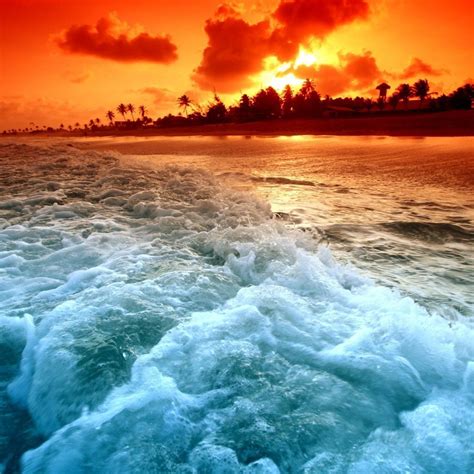 Orange Sunset Wallpapers - Top Free Orange Sunset Backgrounds - WallpaperAccess