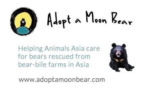 Adopt A Moon Bear