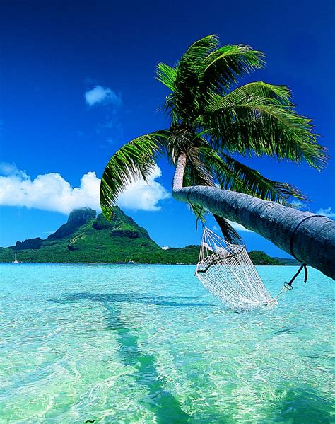 Information Hub Of Besties.: Bora Bora Island Paradise Images