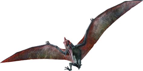 Image - JWFK Pteranodon (edit).png | Jurassic Park wiki | FANDOM ...