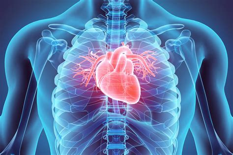 Myocardial Perfusion Imaging: MPI Test | MIC Medical Imaging