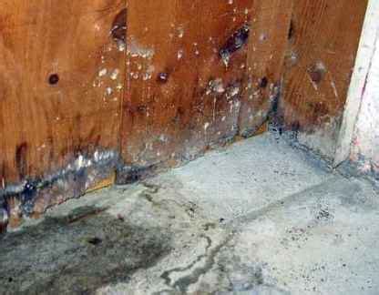 Basement Mold Remediation ..........Removal, Prevention Tips