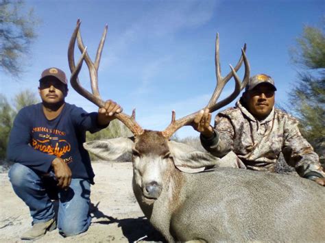 Trophy Sonoran Mule Deer | Mexico Outfitters Unlimited