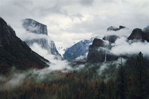 From Higher than Clouds in Wallpaper Wizard — HD Desktop Background With cloudy mountain forest