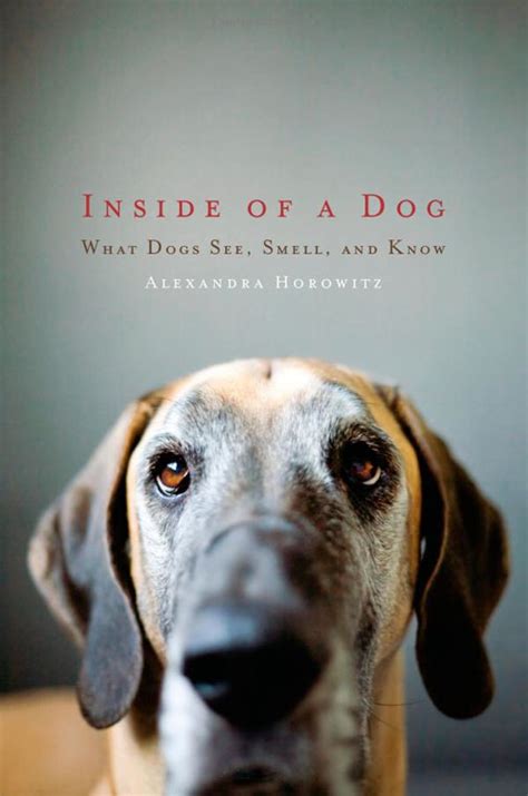 Do you believe in dog?: Dog-eared books