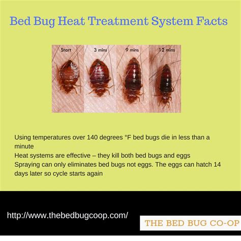 Bed bug heat treatment system facts by thebedbugcoop2018 - Issuu