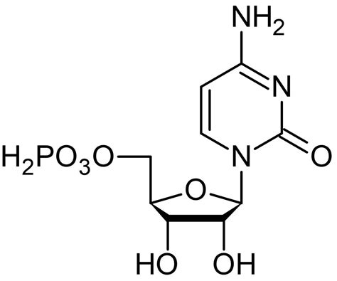 Cytidine-5'-monophosphate (CMP), Nucleoside monophosphate (ab146215) | アブカム