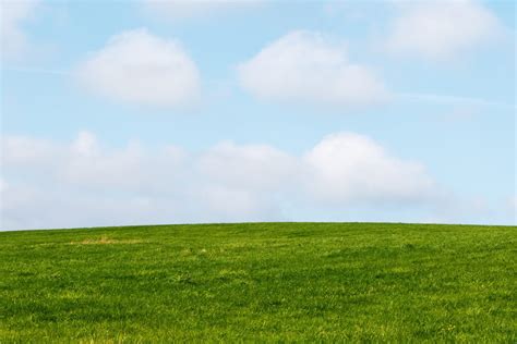 Green Grass Blue Sky Vertical