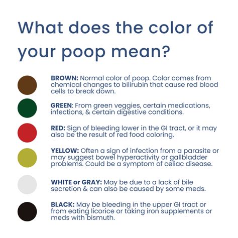 Why Is My Poop Green? | Paloma Health