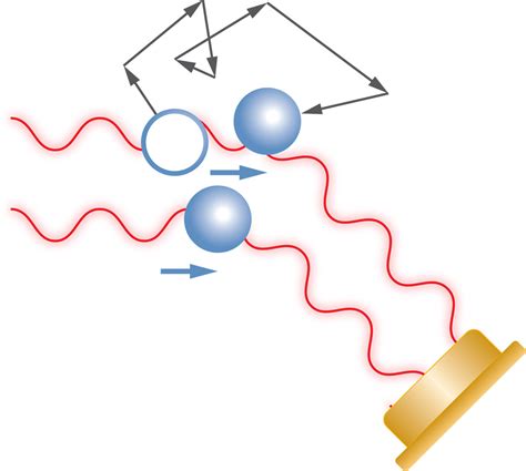 Introduction to Light Scattering Theory - Waters | Wyatt Technology