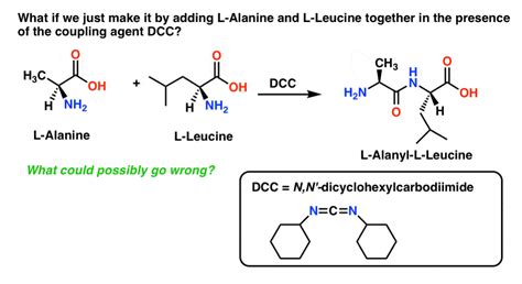 Synthesis of Peptides – Master Organic Chemistry