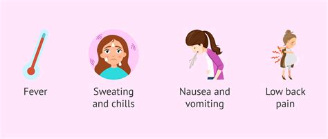 Symptoms of pyelonephritis in pregnancy