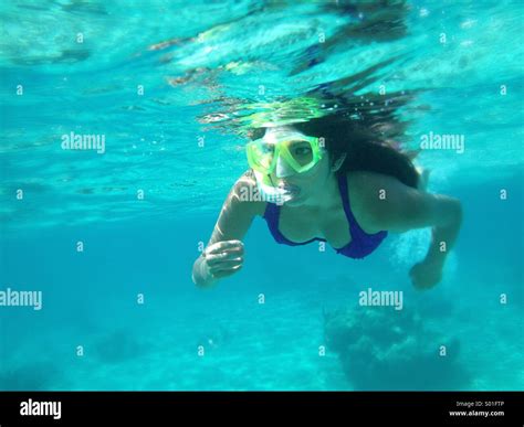 Snorkeling in Playa del Carmen Stock Photo - Alamy