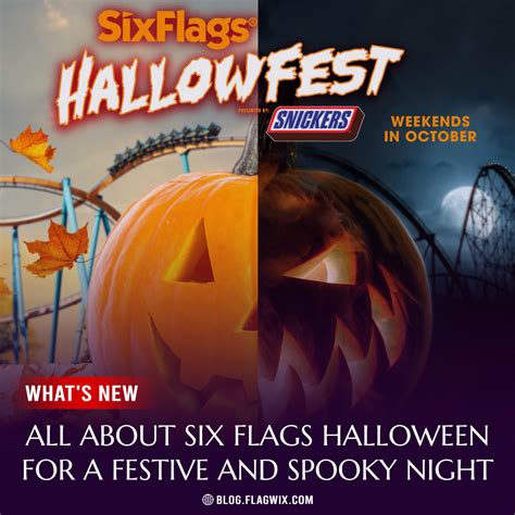 All About Six Flags Halloween For A Festive And Spooky Night