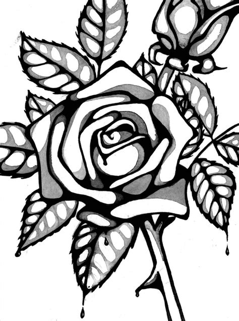 Rose Flower Coloring Picture - thiva-hellas