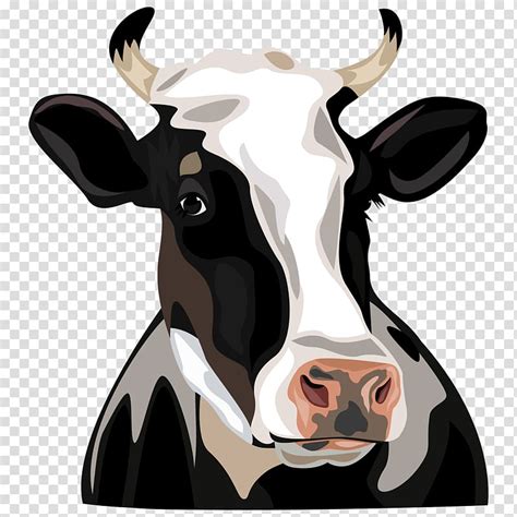 Holstein Cow Head Images - All About Cow Photos