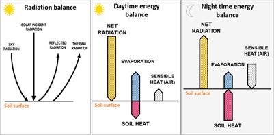 Frontiers | The role of soil temperature in mediterranean vineyards in ...