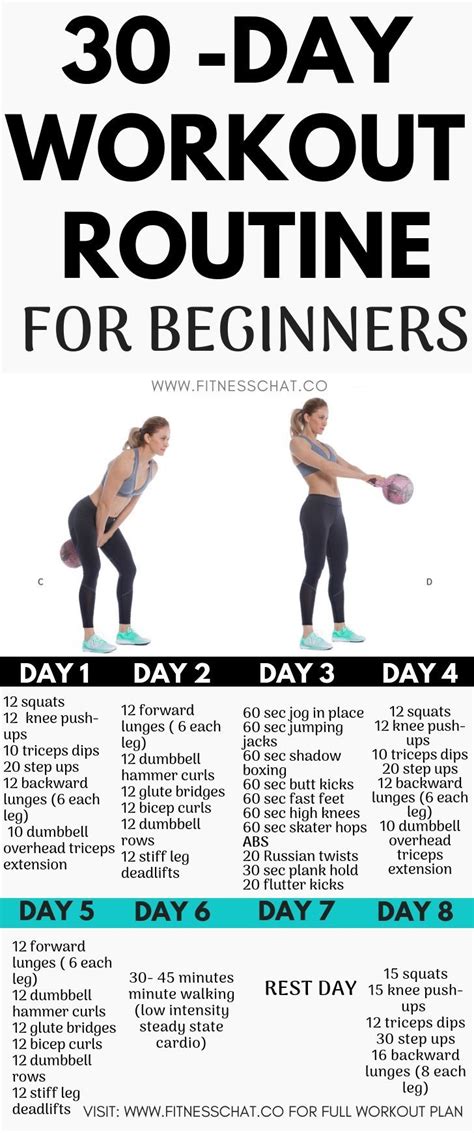 Best 30 Day Workout Plan for Beginners at Home (PDF) | Workout routines ...