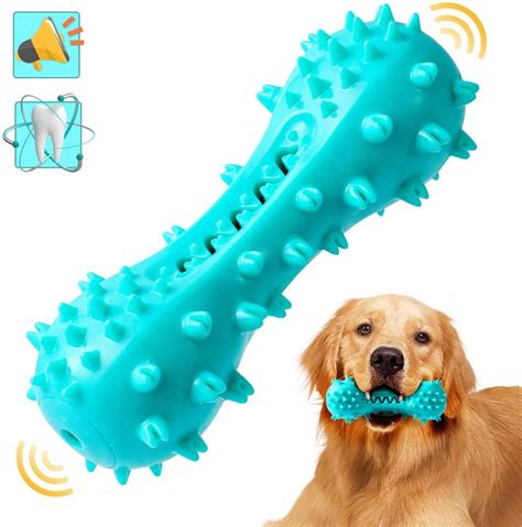 The Best Indestructible Toys for Small Dogs (The Only Guide You Need)