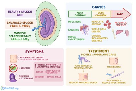 Ruptured Spleen Symptoms