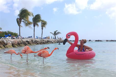 Everything You Need To Know About Flamingo Island Aruba