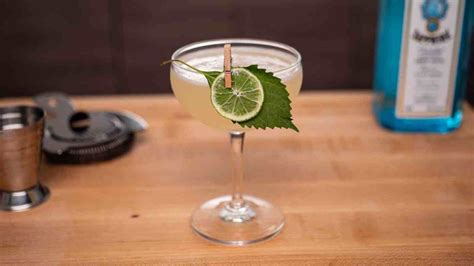 10 Best Yuzu Cocktails to Drink