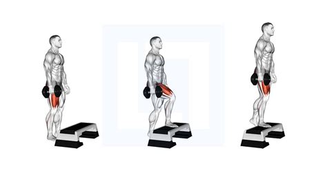 Dumbbell Single Leg Step Up - Guide, Benefits, and Form