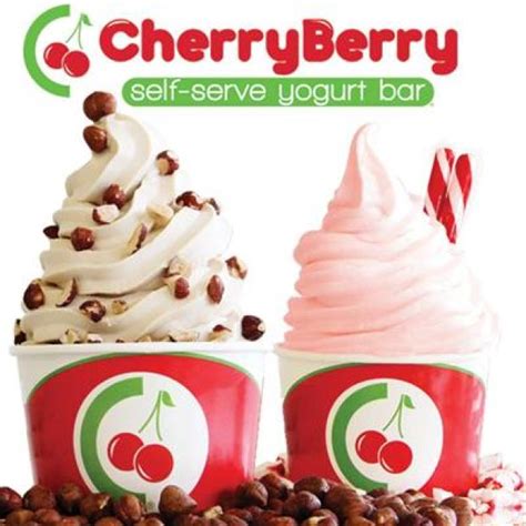 CherryBerry Frozen Yogurt Franchise Info For Veterans | VeteransFranchise.com