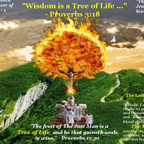 Tree Of Life Revelation | Images and Photos finder