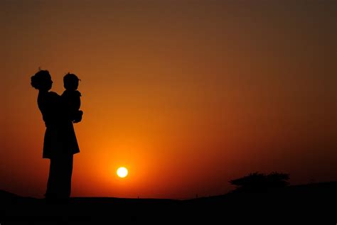 Sunset Silhouette Free Photo Download | FreeImages