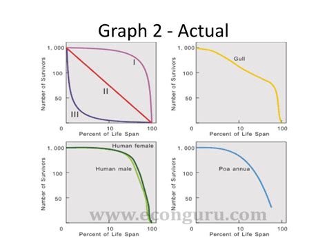 PPT - Human Population, Population Dynamics & Environmental Impact ...