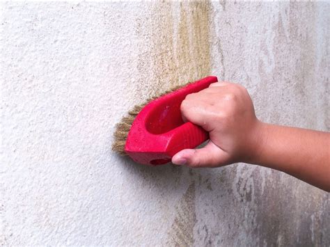 How to Treat and Clean Mildew Damage | DoItYourself.com