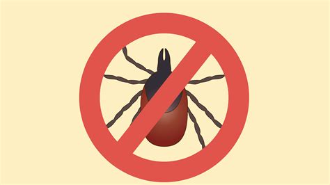 Tick prevention strategies – Westside News Inc