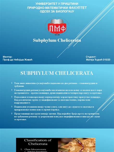 CHELICERATA | PDF