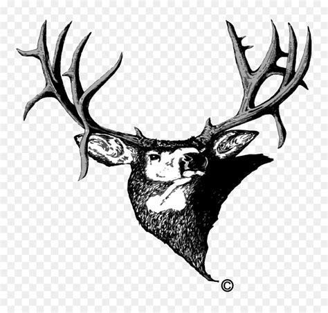 Free Elk Antlers Silhouette, Download Free Elk Antlers Silhouette png ...