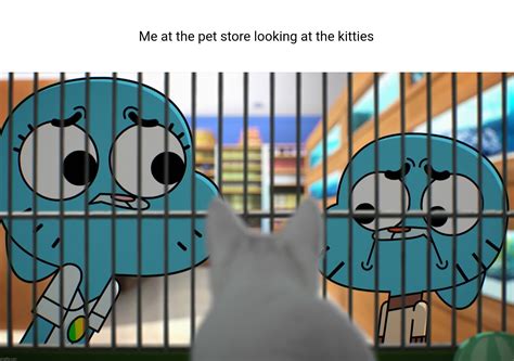 the amazing world of gumball Memes & GIFs - Imgflip