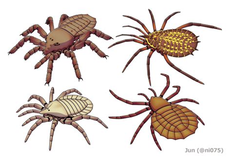 The Evolution of Spiders and Their Remarkable Adaptations - Owlcation