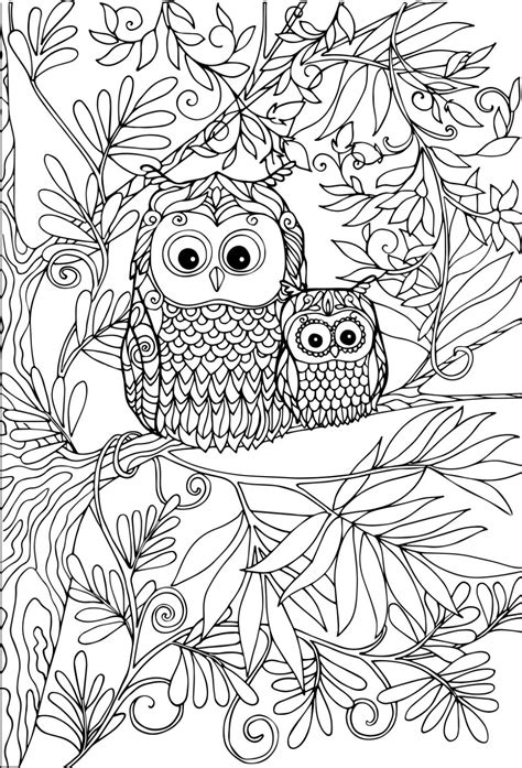 Owl Coloring Printable