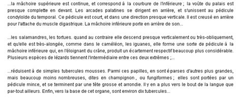 Pédicule: La définition du terme "Pédicule"