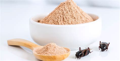 Cricket Flour Nutrition Facts, Benefits vs. Risks - Dr. Axe