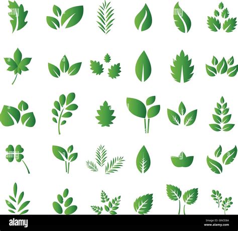 Set of green leaves design elements for you design Stock Vector Image & Art - Alamy